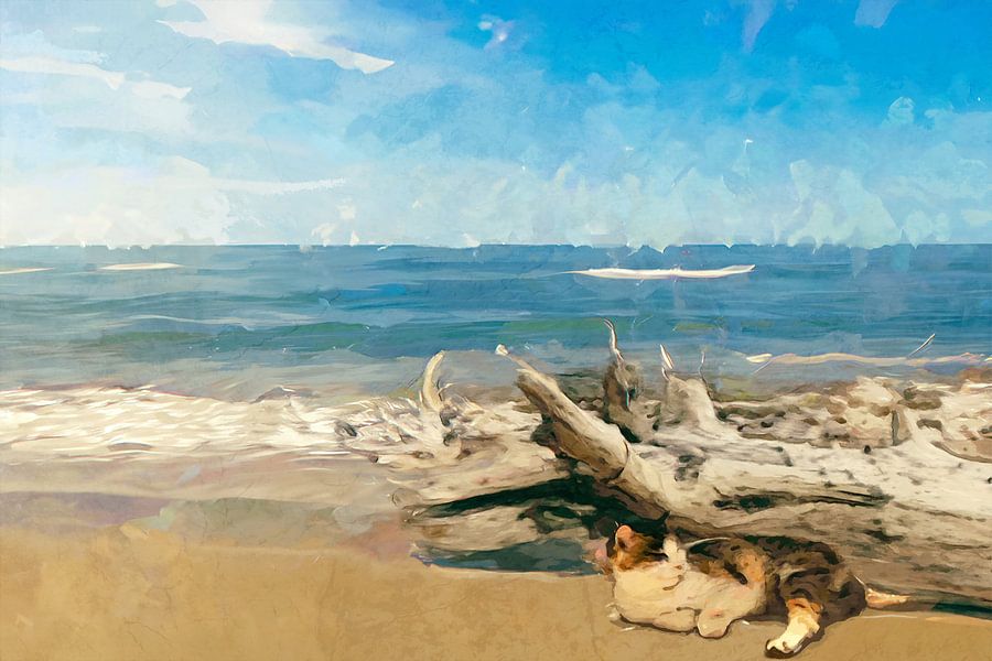 Zomerrust – een kat aan het Zuid-Franse strand