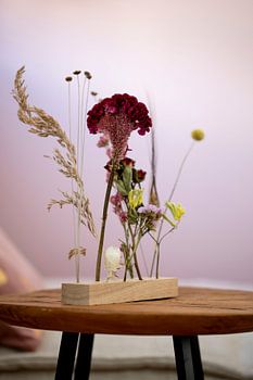 Soft Flowering - Dry Flowers in Light 3