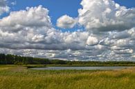 Hollandse Landschappen van Menno Schaefer thumbnail