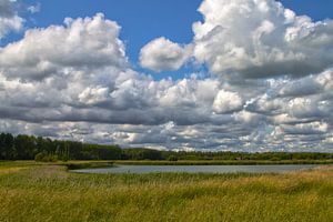 Niederländische Landschaften von Menno Schaefer