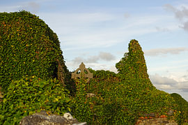 The ruins of the medieval church of Kilmacreehy