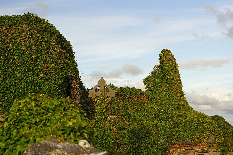 Die Ruinen der mittelalterlichen Kirche von Kilmacreehy von Babetts Bildergalerie