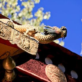 Zomerpaleis van de zevende Dalai Lama van Expediton Far East