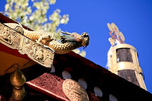  Summer Palace of the seventh Dalai Lama