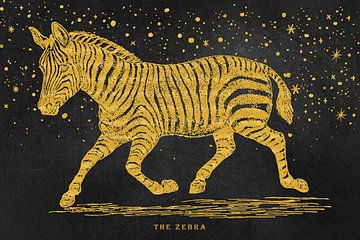 The golden Zebra