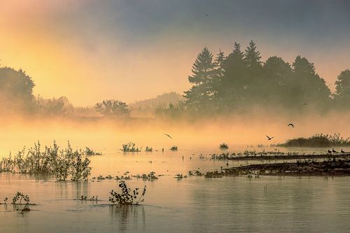 Rustige morgen met mist aan de Loire
