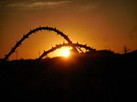 catching the sun