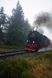 Brockenbahn van Alena Holtz