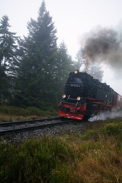 Brockenbahn par Alena Holtz