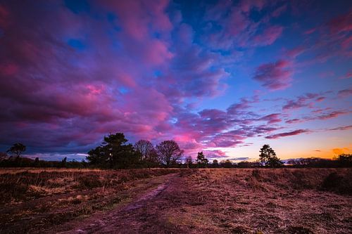 Coucher de soleil Buurse