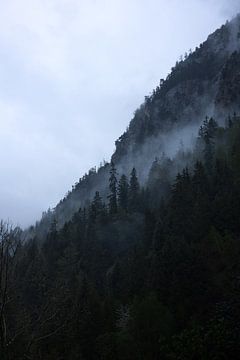Mist doorheen de bomen van de Franse alpen van Gerben De Schuiteneer