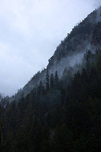 Mist doorheen de bomen van de Franse alpen van Gerben De Schuiteneer
