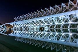 Bilder reflektieren von Rene Siebring