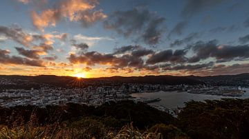 Wellington zonsondergang, NZ, Nieuw-Zeeland van Pascal Sigrist - Landscape Photography
