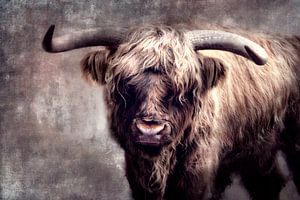 Highlander