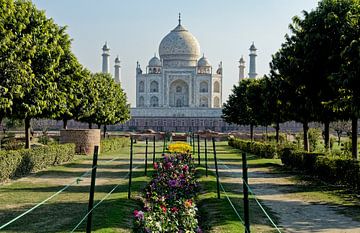 Taj Mahal vanuit de Mughal tuinen, Agra, India van x imageditor