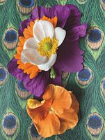 Botanical Wall Art 'Aluna'