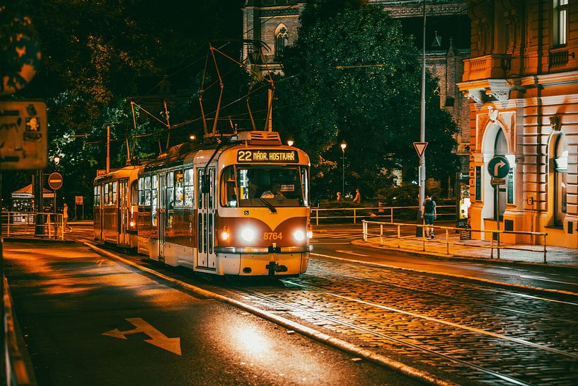 Prager Straßenbahn (Linie 22) von Steven Neele