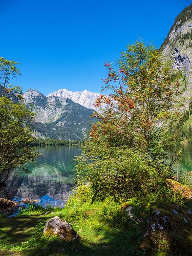 Uitzicht op de Obersee in het Berchtesgadener Land