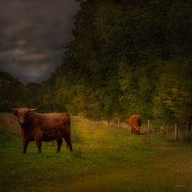 Dutch landscape with Scottish Highlanders in pasture in the style of the old masters by ina kleiman