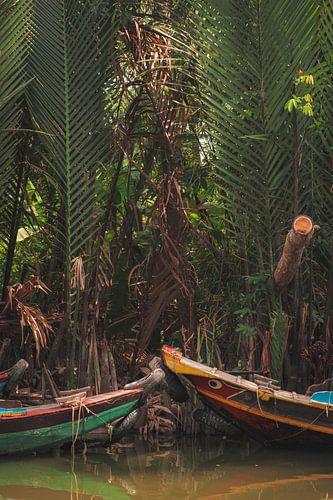 Tropische boten in de Mekongdelta