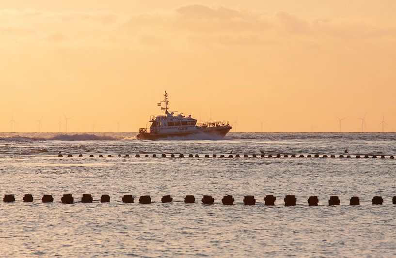 Loodsboot Libra van MSP Canvas