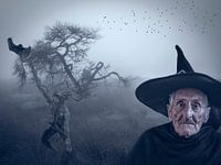 hallloween