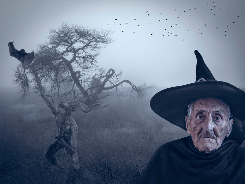 hallloween by Ton Buijs