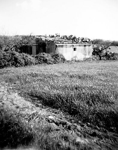 Landschap Sicilie, analoge fotografie