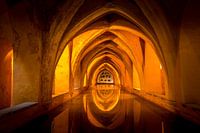 Royal bath in the Real Alcazar in Seville