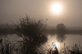 mysterious atmosphere in the polder by Jan Brand