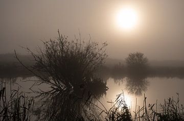 mysterieuze sfeer in de polder