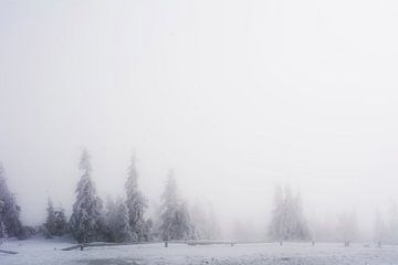 Mist en sneeuw in het Harz gebergte in Duitsland van Suzanne Spijkers