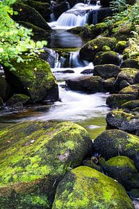 Chutes d'eau sur Samantha Rorijs