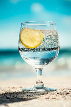 Refreshing sparkling water with lemon by Poster Art Shop