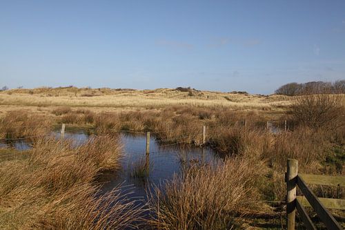Ameland/Kooikersdunen