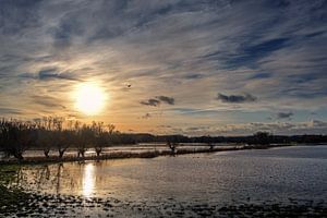 Untergehende Sonne mit Spiegelung im Wasser und bewölktem Himmel über einer dunklen Auenlandschaft a