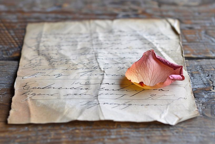 Verwelkte rozenblaadje op oude brief van Imperial Art House