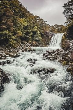 Tawhai Falls Nieuw-Zeeland van Nicolette Suijkerbuijk