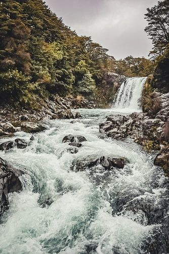 Tawhai Falls Nieuw-Zeeland