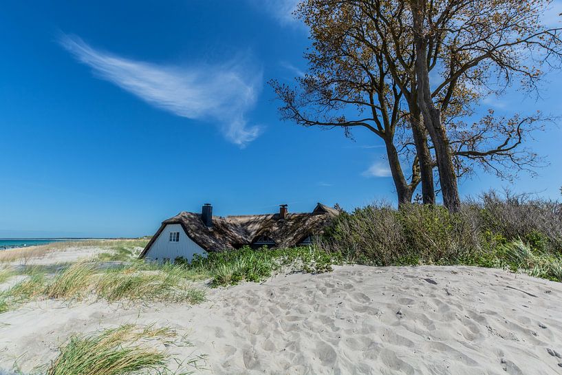 Strand in Ahrenshoop, Fischland-Darß von GH Foto & Artdesign