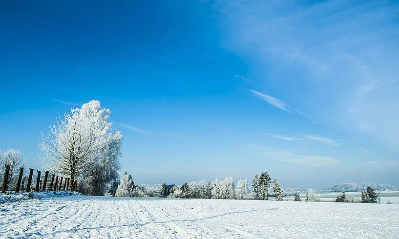 winter landscape by Norbert Sülzner