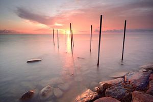 Palen in het IJsselmeer van John Leeninga