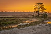 Sunrise natural landscape