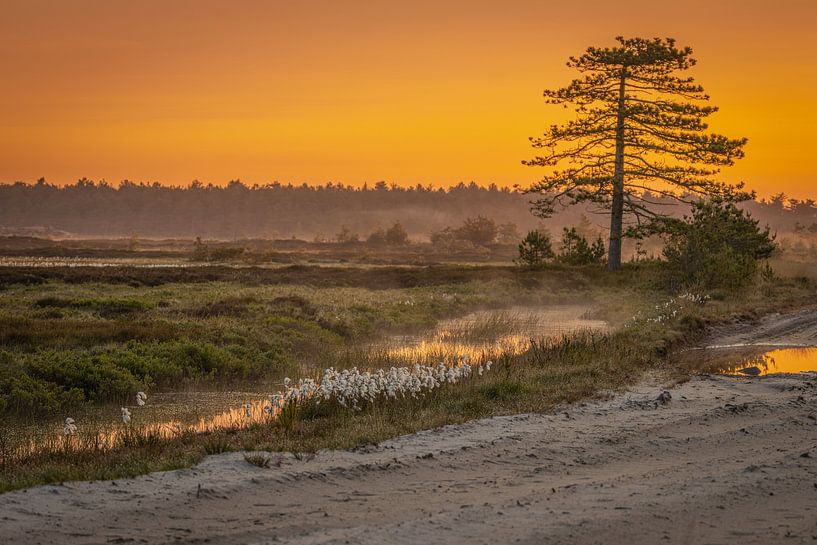 Lever de soleil sur un paysage naturel par Rein van Vemde