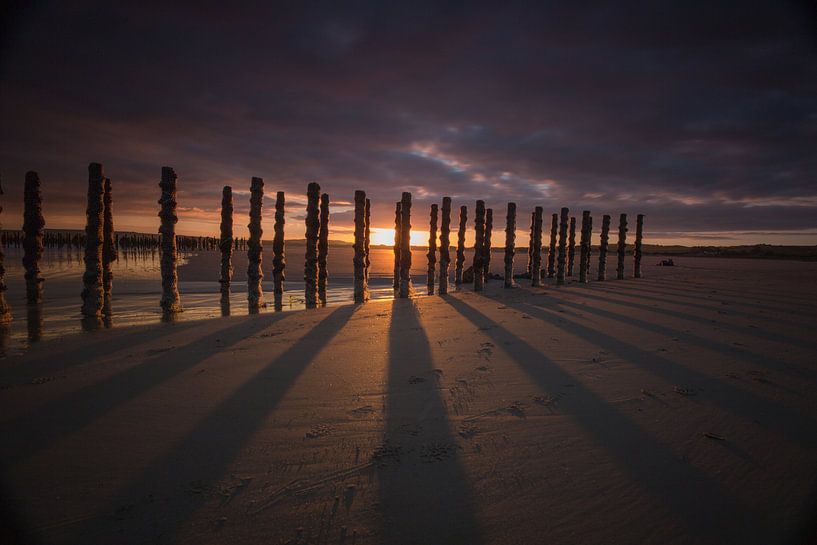 the light by Alain Deflou