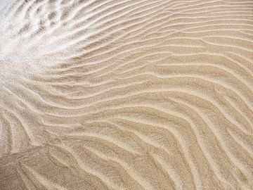 Wind in het zand van Stijn Cleynhens