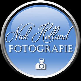 Nick Holland Profilfoto