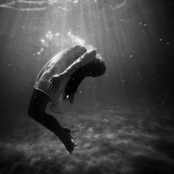 Underwater by Didden Art