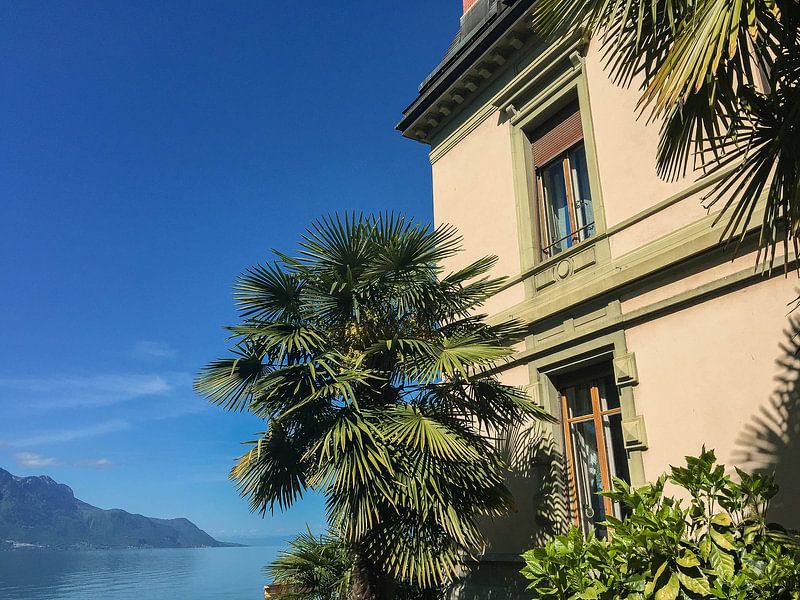 Huis aan het Meer van Genève van Stan Jansen